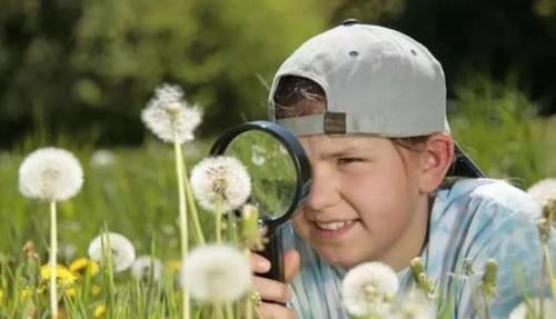 爱因斯坦|智商高的娃有哪些“怪癖”?科学家告诉你,家长不要扼杀这些特质