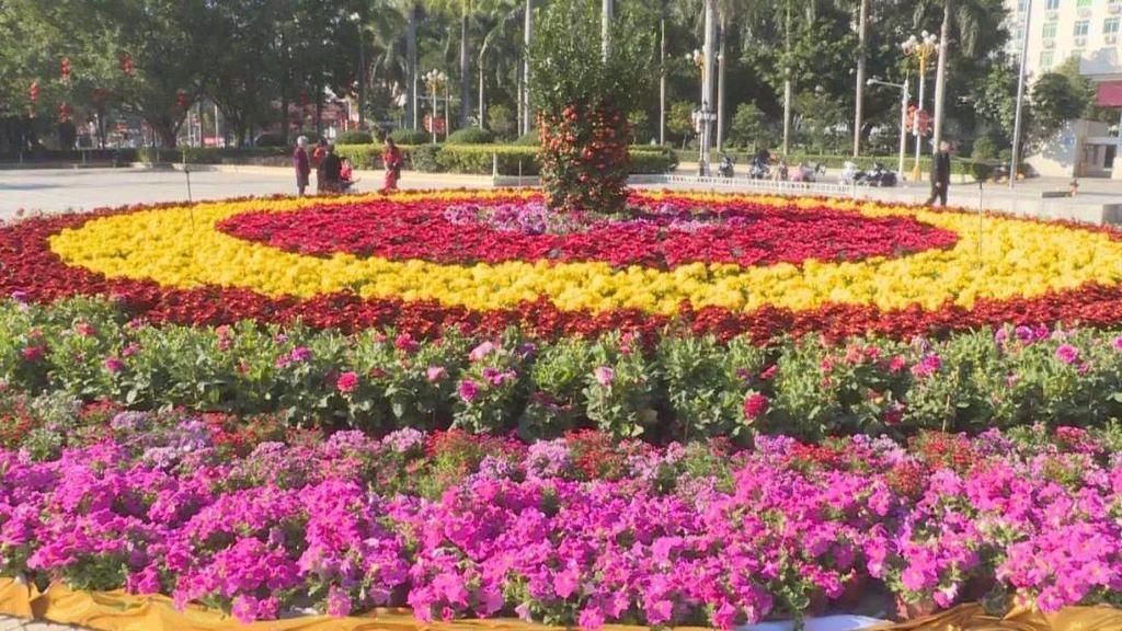 丰顺:看花团锦簇 赏喷泉灯光 群众喜庆热闹过新年