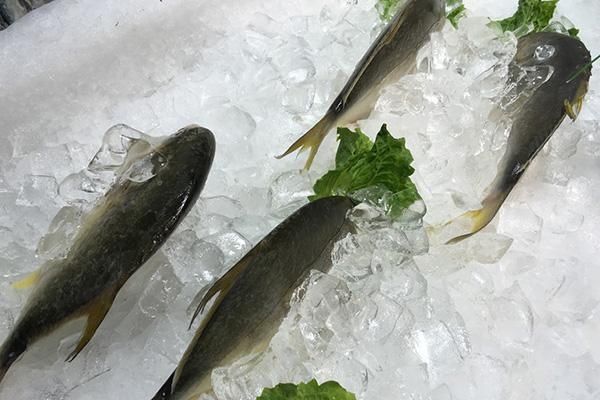 肥胖率|为什么日本人喜欢吃炸食、高碳水，肥胖率还低？饮食方法值得学习
