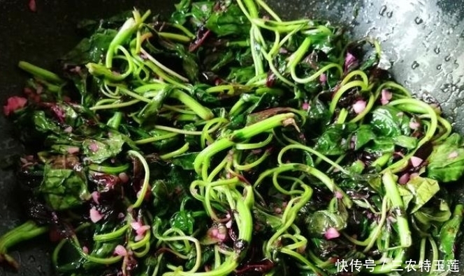 营养|乡下一种野菜,价值珍贵,是一种营养丰富的野菜,遇见请珍惜
