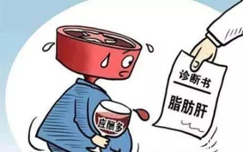 膳食纤维|脂肪肝有救吗？教你如何和脂肪肝说“拜拜”