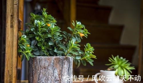 床垫|“白血病”1年新发5万人专家怒斥屋里不要有这几样东西！