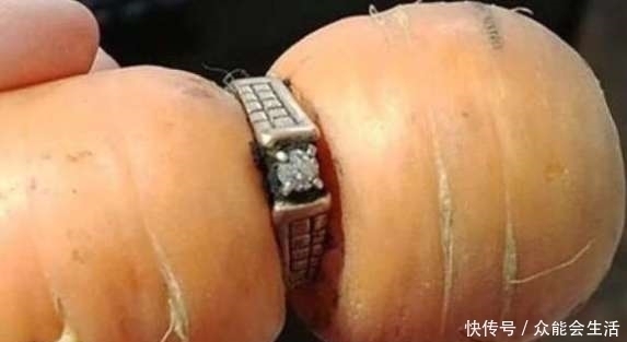 老伴|农村老太太在地里干活,挖到老伴丢失已久的戒指,流泪了