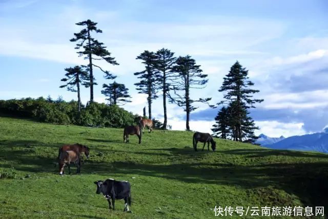 中国最美村落，每年只有80人能到，海拔4千米还有个心形湖