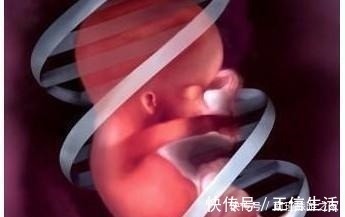 产检|为啥产检时医生要问“头胎还是二胎”除了生育史,还另有原因