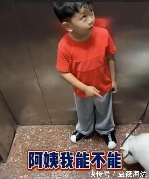 礼貌|阿姨我能摸下这个狗狗吗女叫姐姐,萌娃改口后笑翻众网友