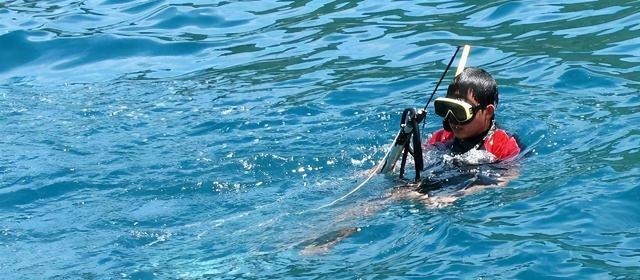 海底|真有海底宝藏康熙沉船5万件青花瓷,市值5亿美金无压力