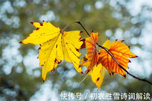 诗词|晚夏早秋诗词五首，清秋时节近，一片初飞叶报秋