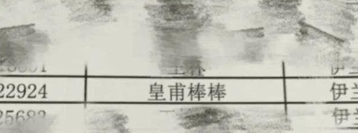 小魏|爷爷叫魏炎爸爸叫魏寒,奶奶给孙子取的名,让孩子天天被老师点名