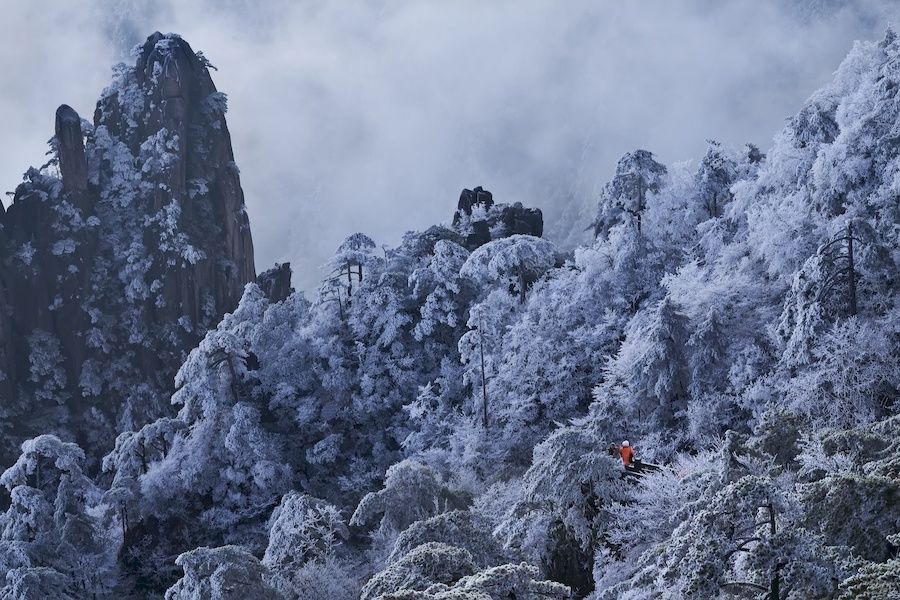 黄山风景区|零下10．3℃ 安徽黄山现大面积雾凇景观