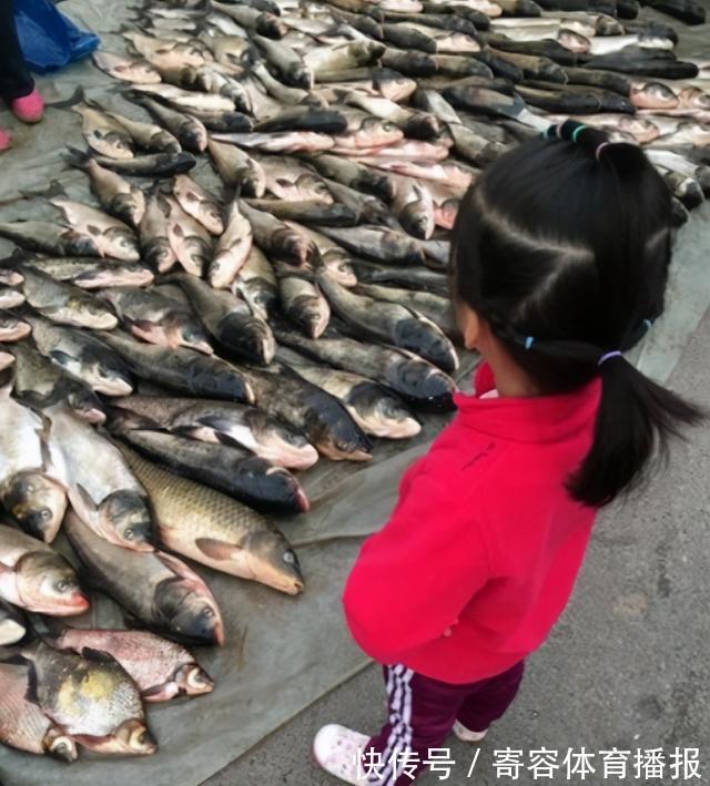 寄生虫|市面上“寄生虫”最多的3种鱼,聪明人从不买,不懂的人经常买