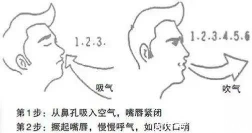 足少阳胆经|国医泰斗金世元:中医护肝有10法,要养肝就别错过!