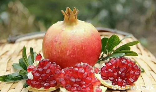 四川|若不差钱,这5种四川特产美食一定要尝尝,全吃过的肯定是四川人