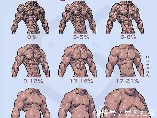 卷腹|五个动作全面提升腹肌水平,练出六块腹肌,搭配健腹轮效果翻倍