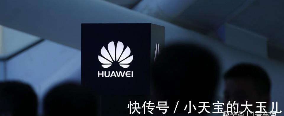 苏箐|那个说“特斯拉杀人”的华为高管,被免职了