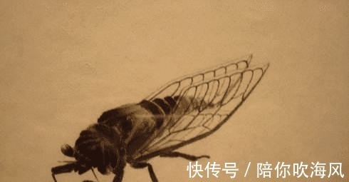 老爷子@齐白石有多吝啬给友人画蒲扇仅添加一只苍蝇,如今苍蝇价值70万!