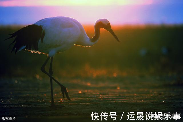 认知障碍|60岁以后,5件事不得不怕、不得不防!记住,并转告给老友们