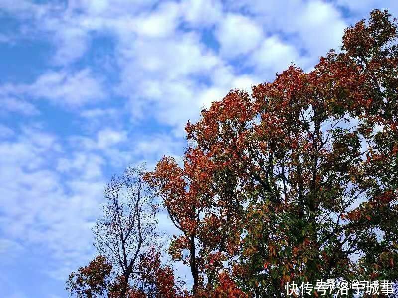 洛阳洛宁曲学军——戏说韩汗