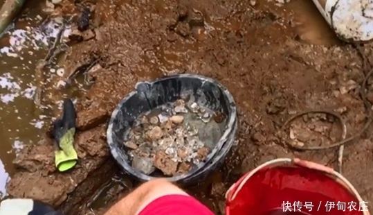 山上|山上砸下的石头,没想到却是个宝贝