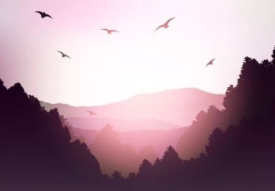 阳气|黄帝内经,说尽了人所有疾病的来源