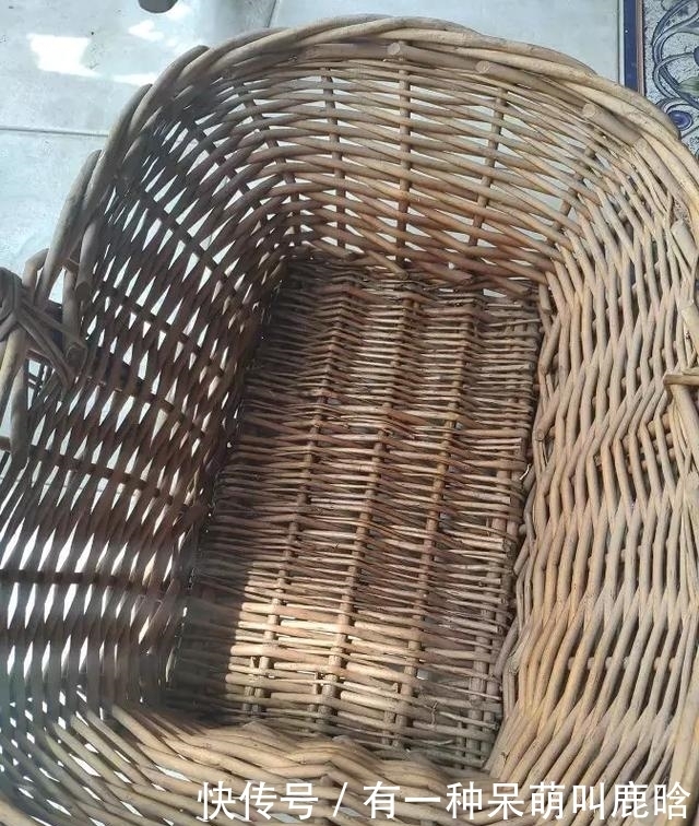 邻居捡破烂养花,全家都反对,栽上花后都笑了!