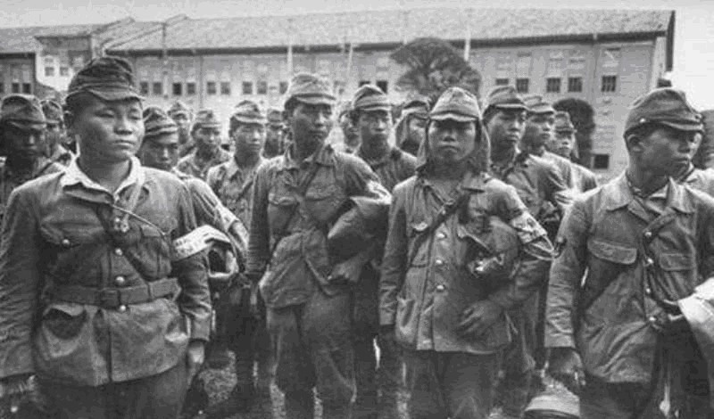 麻利嫂|她救下司令和三百名战士,司令苦寻她30年,其子交给司令一个木盒