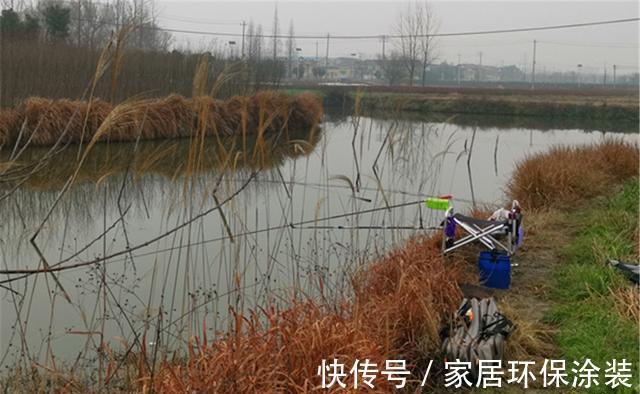 晚秋钓鲫鱼，选择这样的天气和钓位，我从来没走空过，每次都爆护