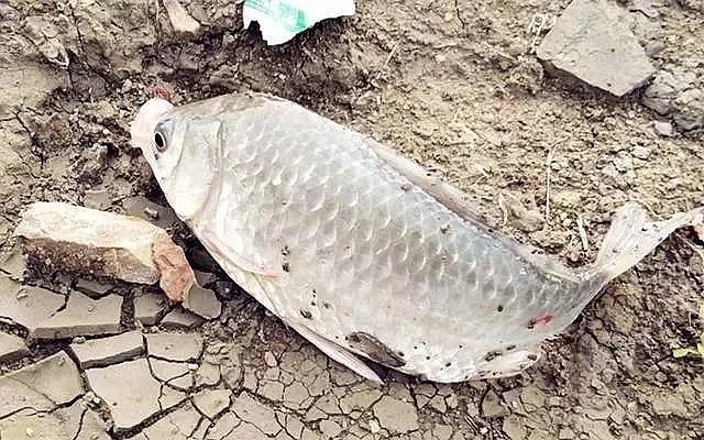 冬季垂钓最管用的三种方法,多窝钓不是最佳,最后一个却经常爆护