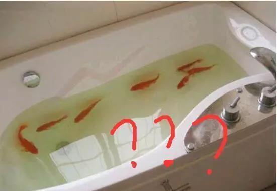 卫生间|找了熟人装修,依旧没躲过这20条遗憾,泪水只好往肚子里咽!