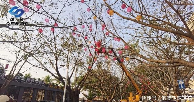 茂名小东江超级月亮下水，沿江路开始变身星光大道！