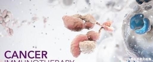 肿瘤|医生为什么要癌症患者每3个月或者半年检查一次呢