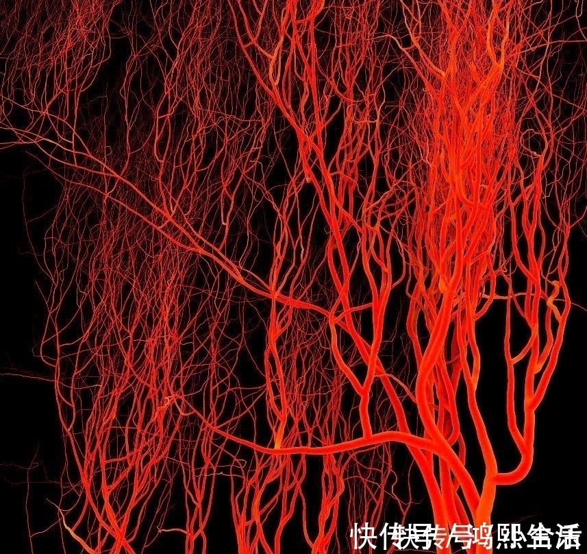 走路锻炼|走路是天然的“长寿药”,医生避开两个时间点,很多人都走错