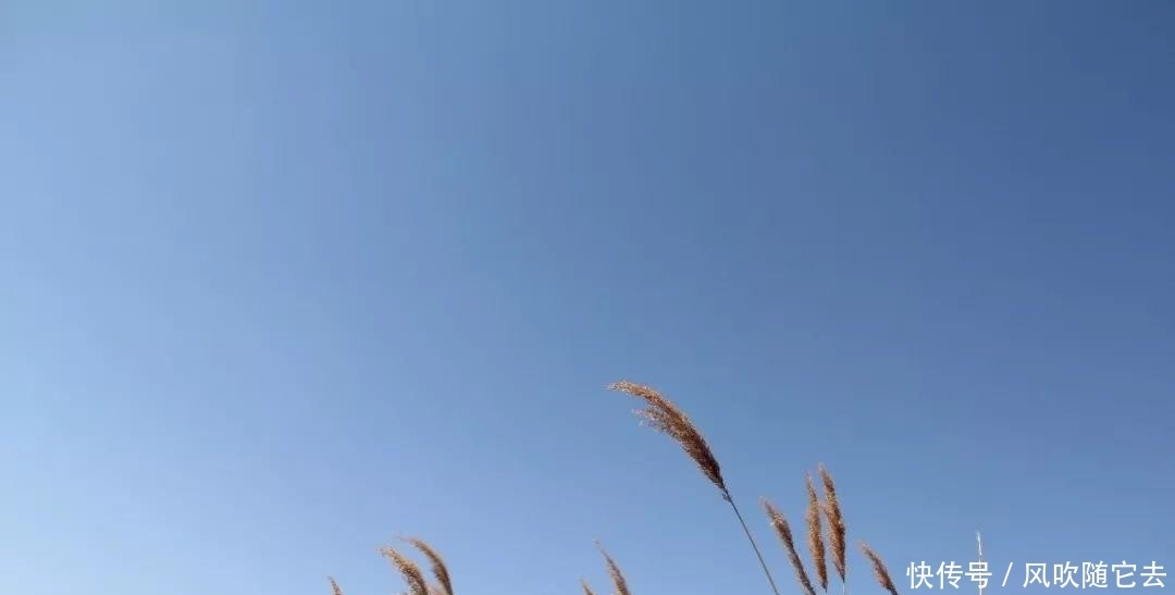 诗人|唐玄宗时代,有李白杜甫王维等众多大咖,诗人冠冕是谁?