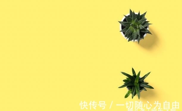 生肖兔|未来8天，梦中旧爱，红鸾出现，失而复得，事半功倍，喜上眉梢