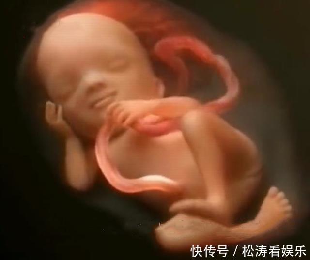 孕期|孕期亲密,腹中胎宝是何感受组图播放作案现场,胎宝我太难了