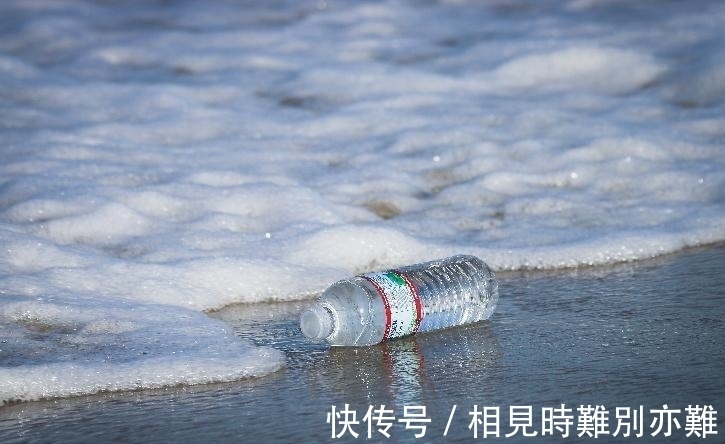 细菌|新研究发现:牛靠吃草长肌肉,所以能消化塑料,牛为什么这么牛?