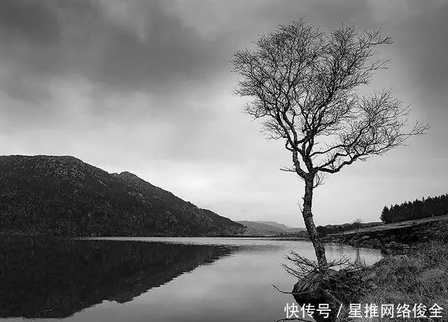 在乎|有深度有涵养的人生金句，字字千金，富含哲理！