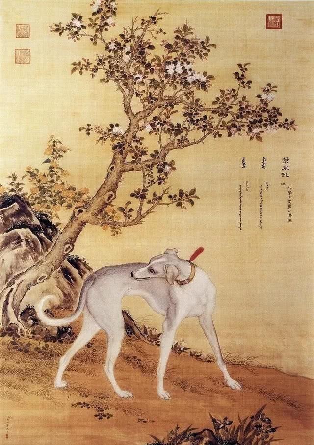 民间|民间说“狗肉上不了宴席”,为何还有那么多人吃狗肉?原因有很多