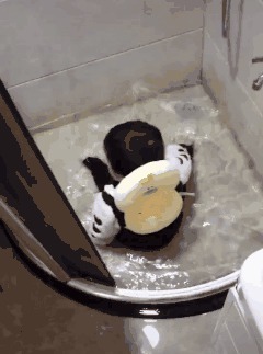 宝宝|和了一盆面发出一个娃!“如果时间倒流,我不会和邻居多聊半句”