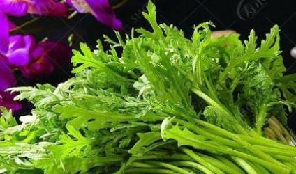 到处|农村到处都是的狗尾巴草，泡水喝竟有4大好处，男女老少都需要