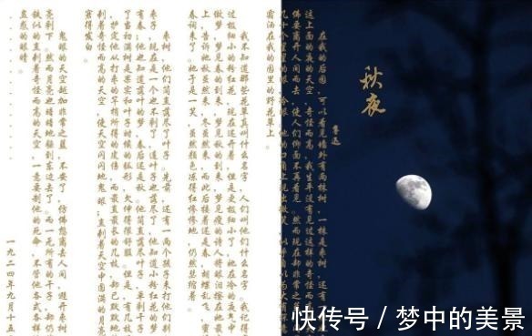 秋夜#韩寒解释鲁迅的“一株是枣树,另一株也是枣树”,学生们都说好