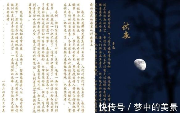 秋夜#韩寒解释鲁迅的“一株是枣树，另一株也是枣树”，学生们都说好