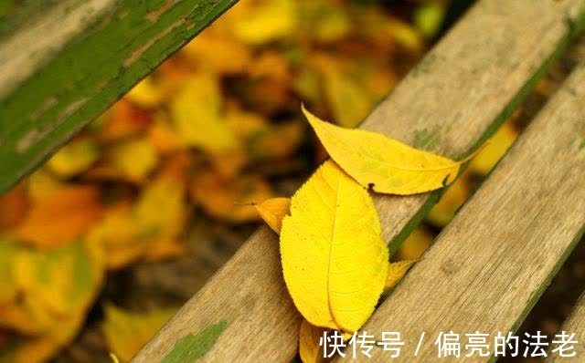 意趣|处暑节气品唐诗，一首秋日小诗，感悟诗中浓浓的哲学意趣