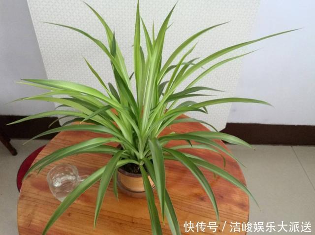 装修|新房装修完通风半年就能住吗听专业人一分析,我就不心急入住了