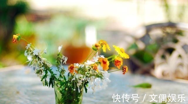 被称为“夏必死”的8种花,我却喜欢买一些,因为能“省”不少钱