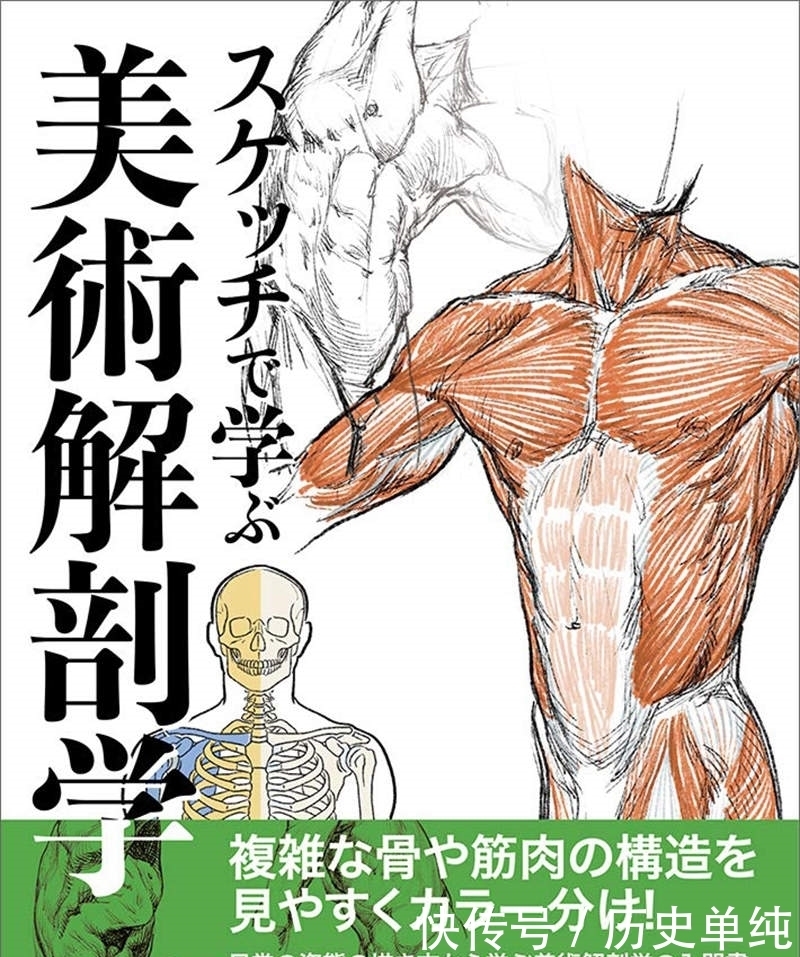 大雄33眼的秘密：解剖学教授提出见解其实这种描写很符合人体特征