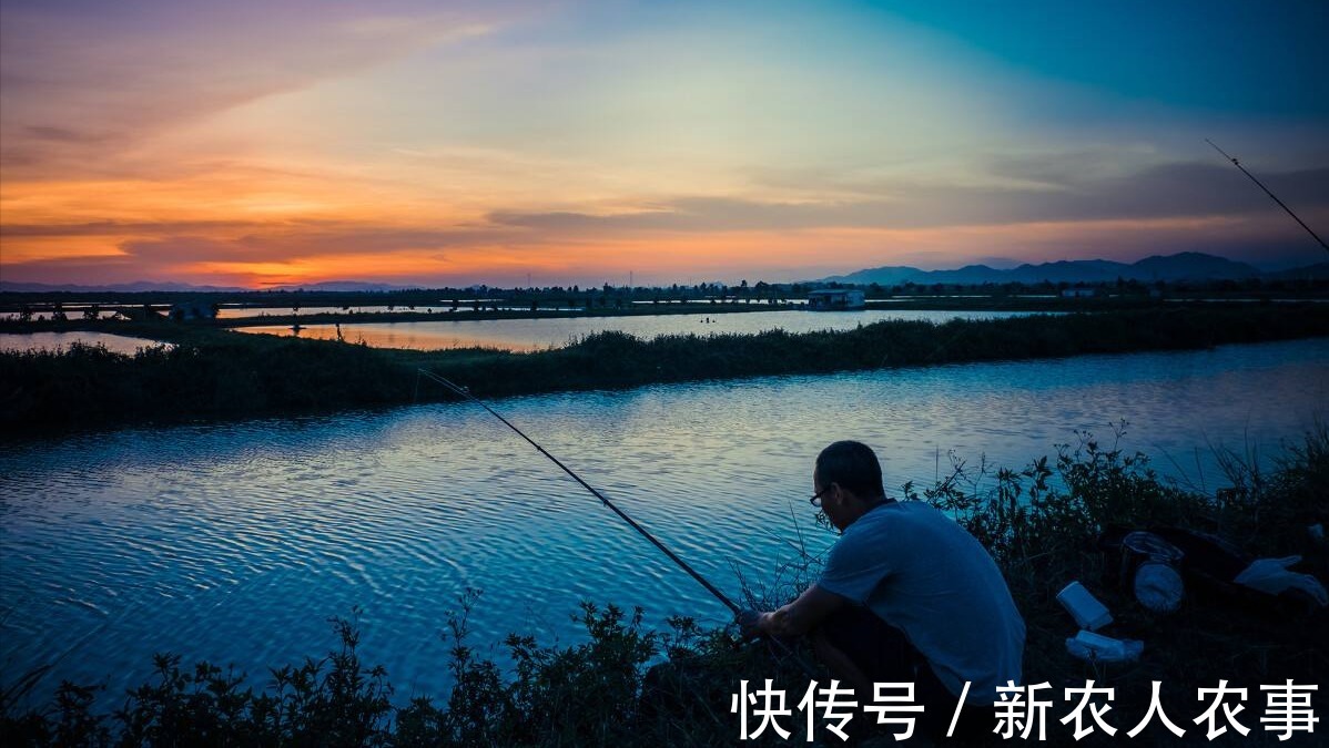 兴趣爱好|男子过年回家闲得无聊去钓鱼,却被打伤缝3针,发帖求网友支招