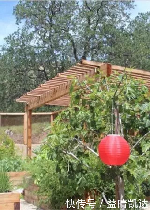 现在有个菜园才是人生赢家,450㎡可食用花园,实现你的吃货自由