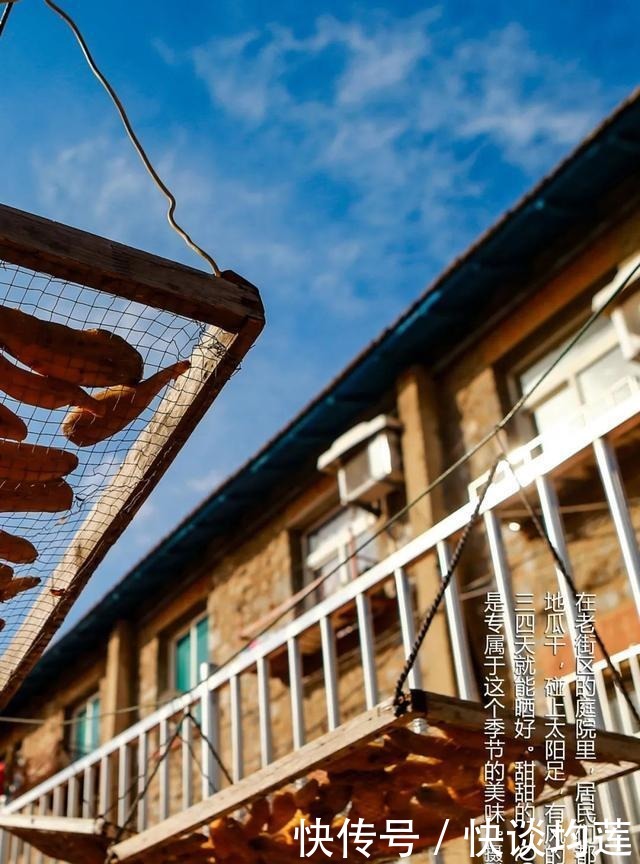 大连|大雪,大连,大生机