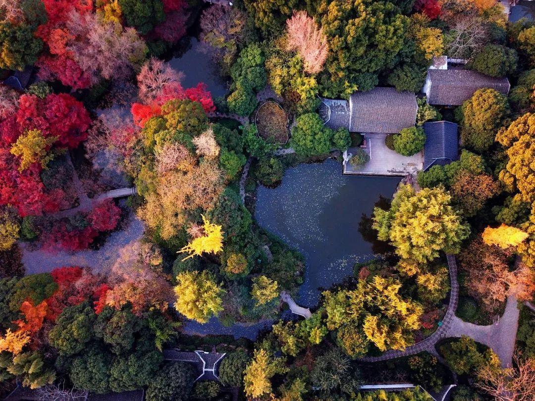 春游上海这五大古典园林不要错过，感受江南春景，门票价格都不贵